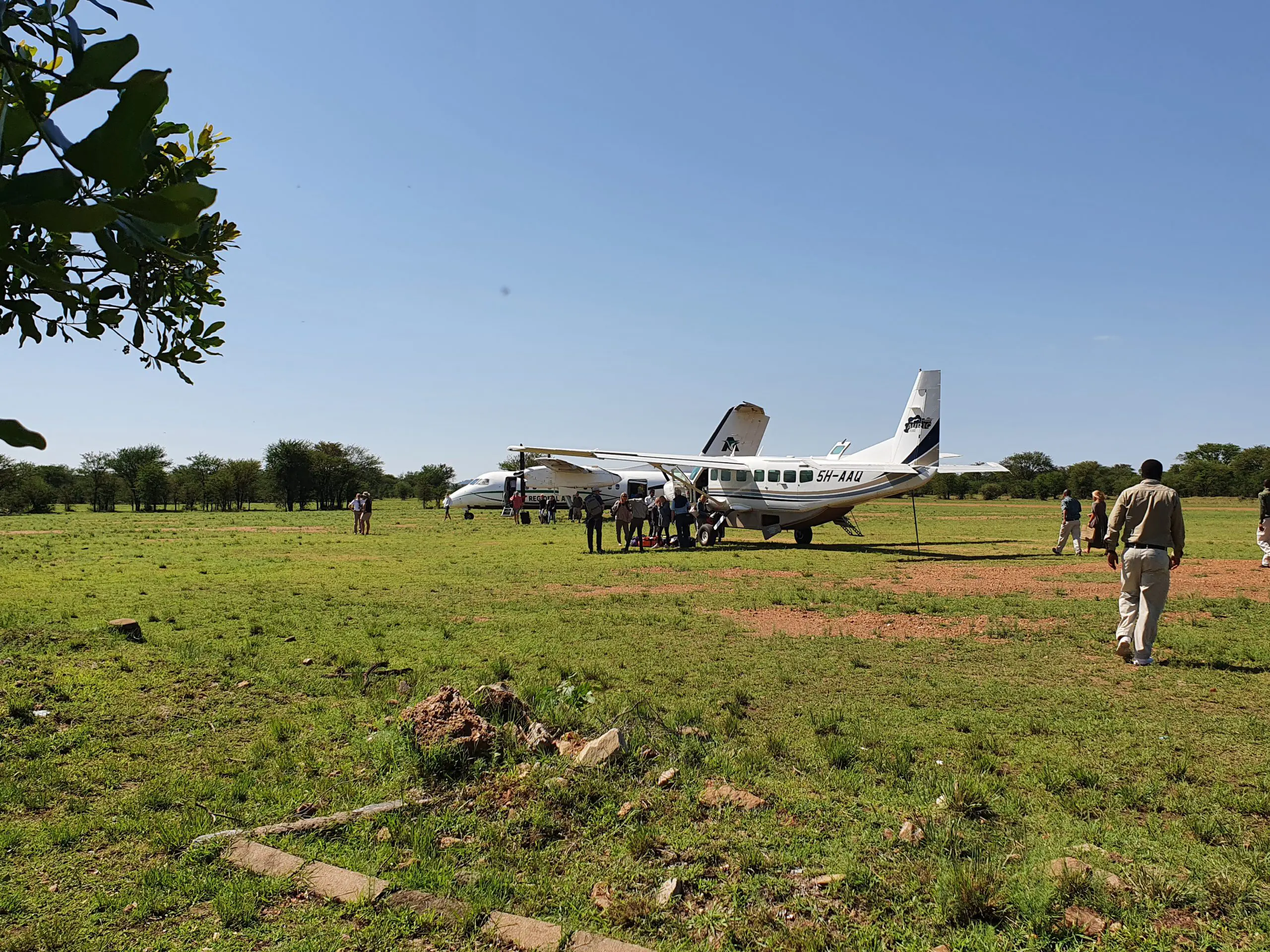 All in Fly in safari Tanzania
