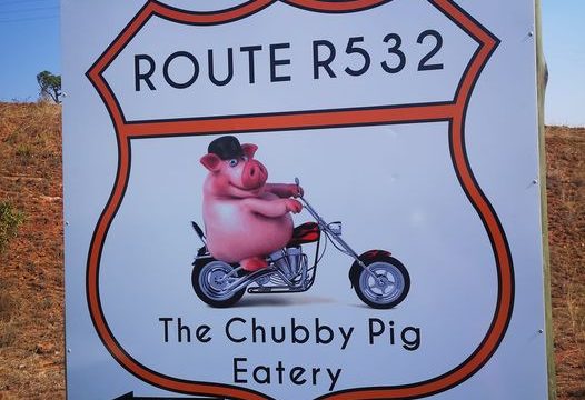 The Chubby Pig Panorama Route