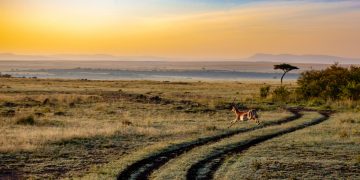 Kenia voor de avontuurlijke reiziger