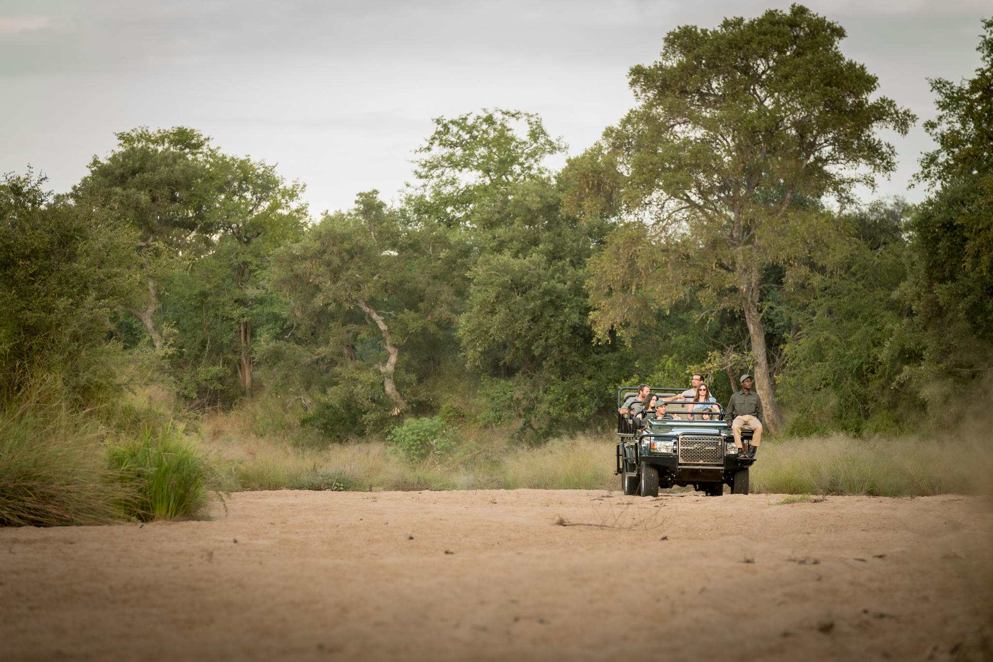 Game drives Klaserie Private Game reserve