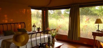 iKweta Safari Camp