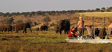 Groepsreis Botswana en Okavanga Delta