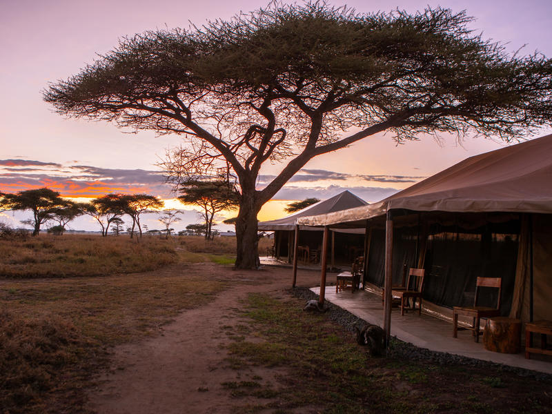 Mawe Tented Camp