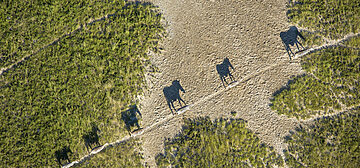 Nxai Pan National Park