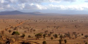 Kenia bouwsteen Amboseli en Tsavo East