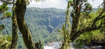 Aberdare National Park