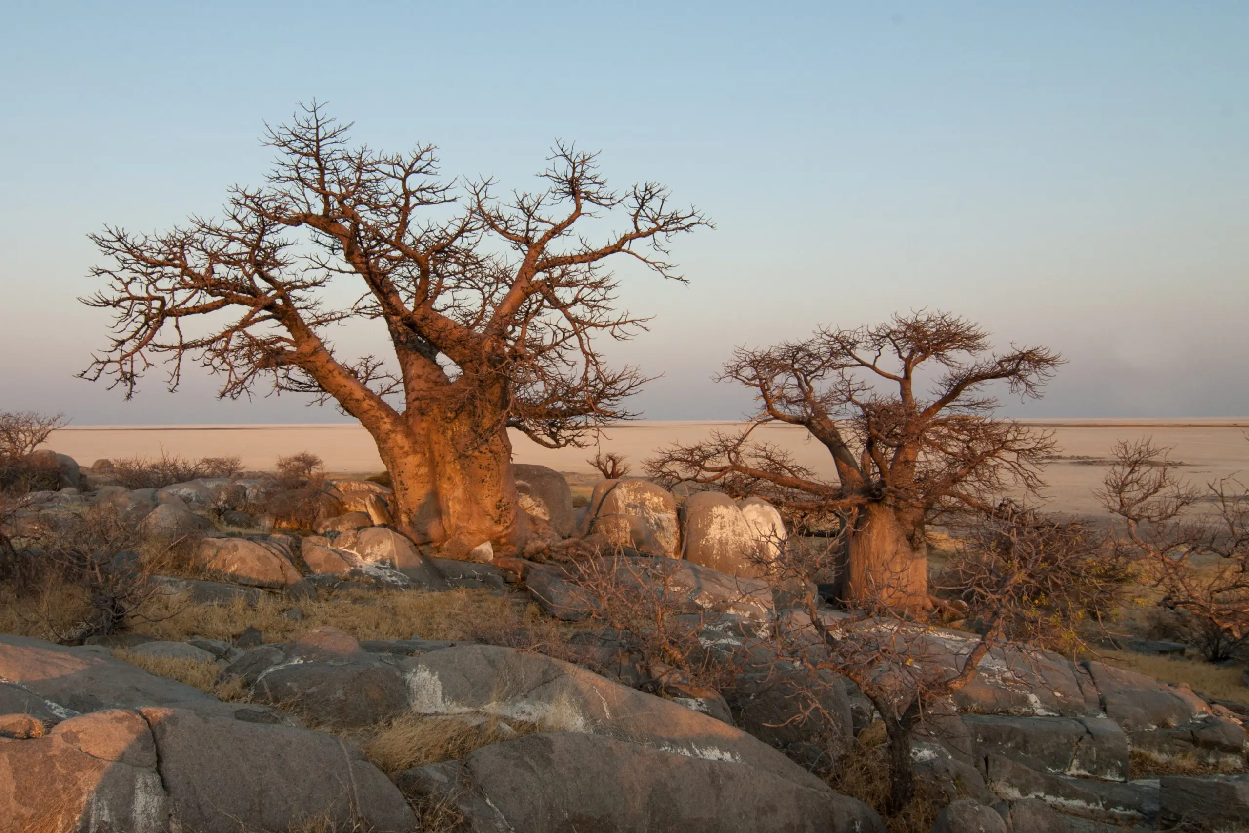Per vliegtuig bezoekt u Botswana