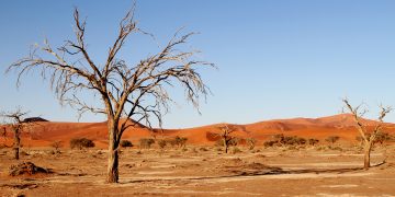 Hoogtepunten van Namibië met luxe lodges