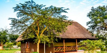 Twiga Safari Lodge