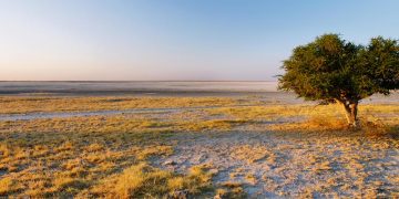 Makgadikgadi Pans National Park