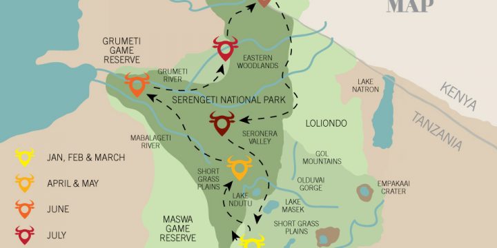 Alles over Safari in de Serengeti