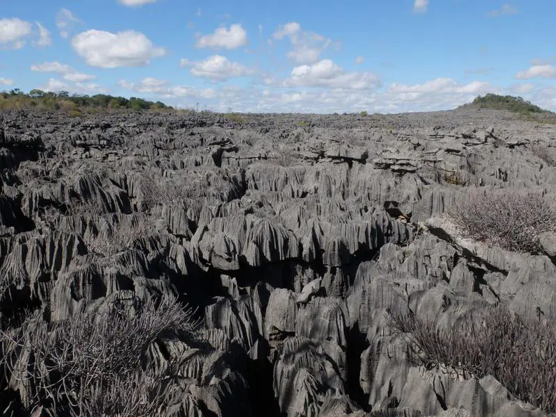 Tsingy de Namoroka National Park Go Africa